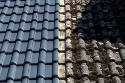 nettoyage toiture le mans